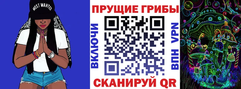 Псилоцибиновые грибы Magic Shrooms  shop какой сайт  Сургут 