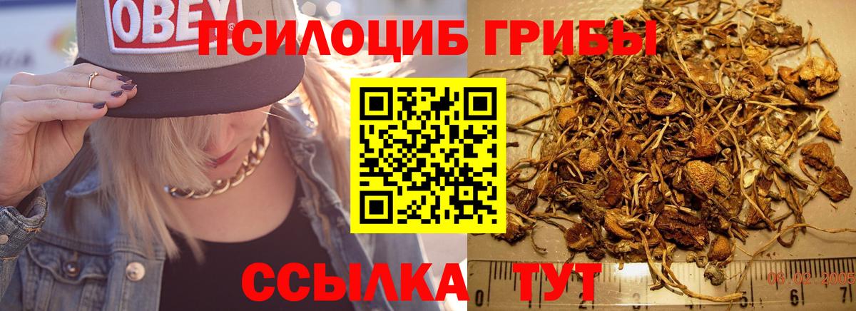 Сургут  закладки  Псилоцибиновые грибы мицелий  Вход с VPN  Псилоцибиновые грибы Magic Shrooms 