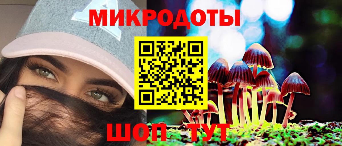 Псилоцибиновые грибы Cubensis Сургут