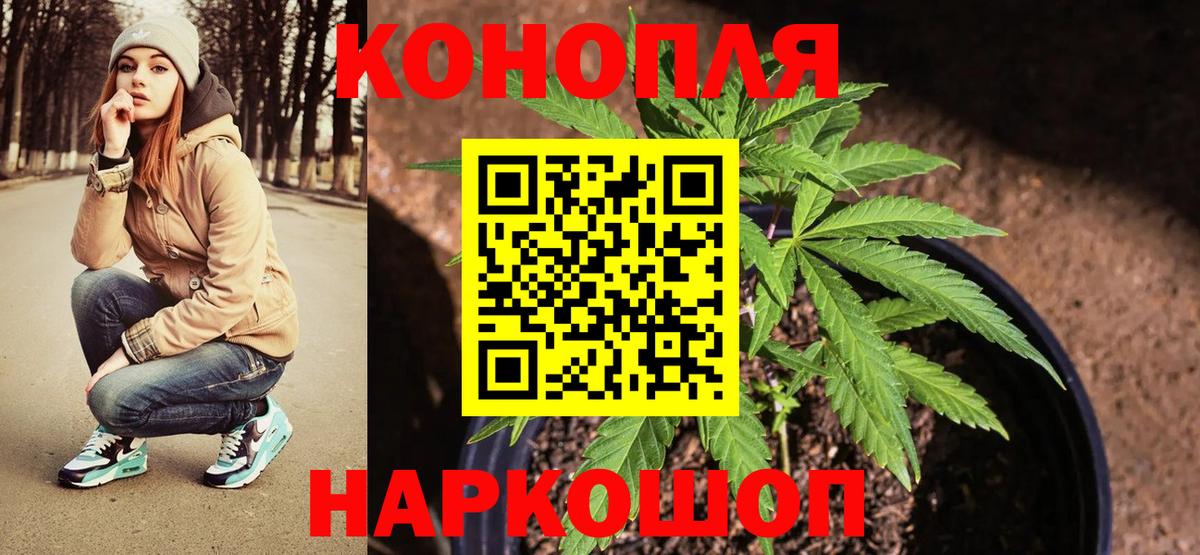 Бошки Шишки Amnesia  Конопля планчик  Вход с VPN  Сургут  Бошки марихуана тримм 